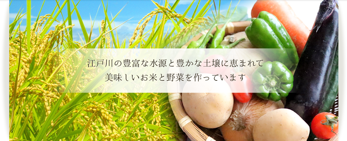 江戸川の豊富な水源と豊かな土壌に恵まれて美味しいお米と野菜を作っています